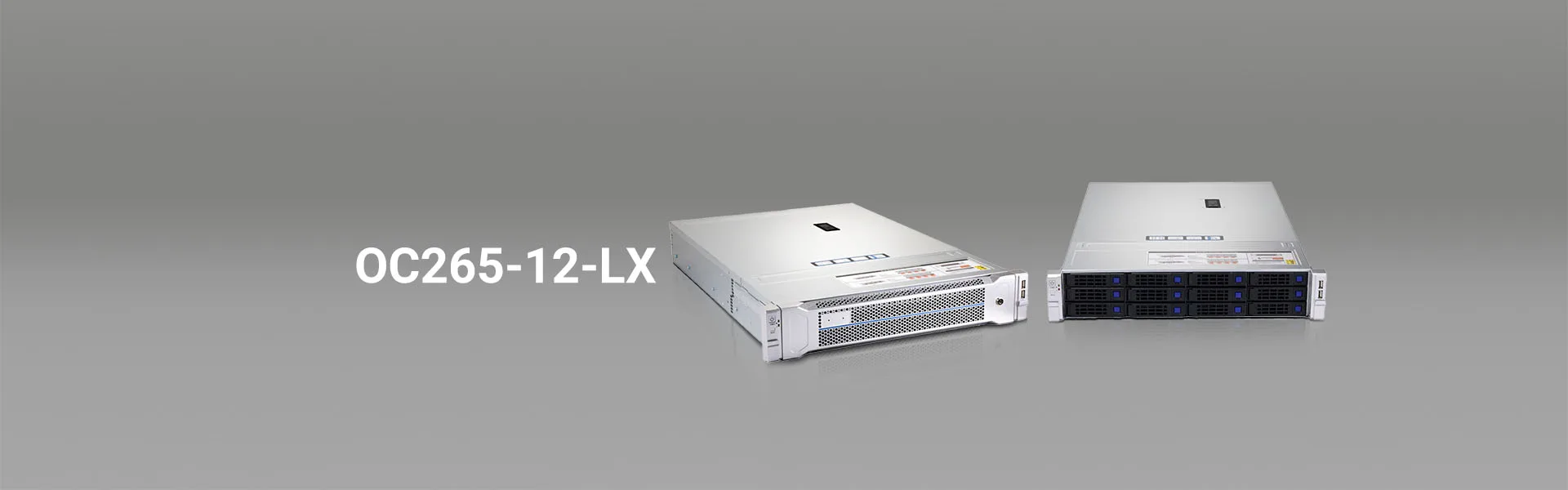 server chassis-hot swap chassis-onechassis-oc265-12-lx -banner