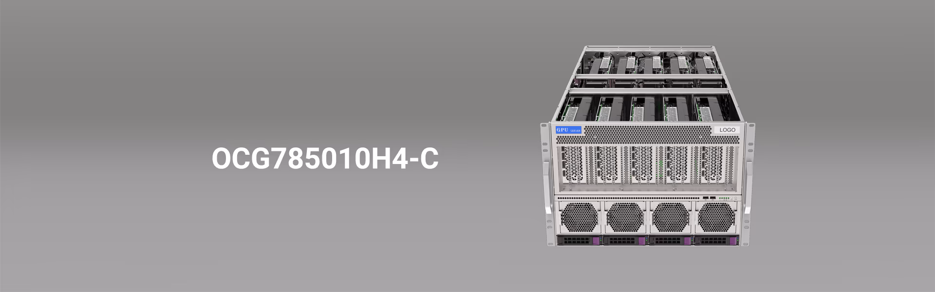 servidor de 10 GPU
